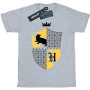 T-shirt enfant Harry Potter Hufflepuff