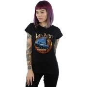 T-shirt Harry Potter BI23752