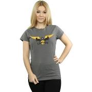 T-shirt Harry Potter BI23772