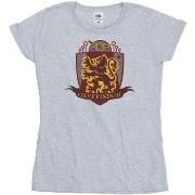 T-shirt Harry Potter BI24079