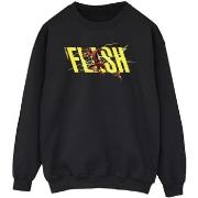 Sweat-shirt Dc Comics BI47263