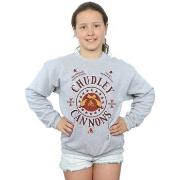 Sweat-shirt enfant Harry Potter Chudley Cannons