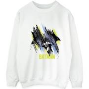 Sweat-shirt Dc Comics BI48842