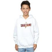 Sweat-shirt enfant Dc Comics BI49518