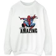 Sweat-shirt Marvel Amazing