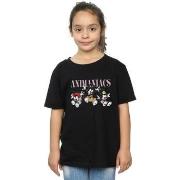 T-shirt enfant Animaniacs BI6434