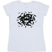 T-shirt Dc Comics Batman Bat Swirl