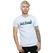 T-shirt Dc Comics Aquaman Text Logo