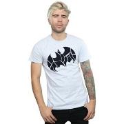 T-shirt Dc Comics BI21567