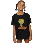 T-shirt enfant Dessins Animés Tweety Pie Distressed