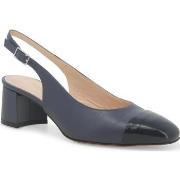 Chaussures escarpins Melluso E1301W-238158