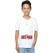 T-shirt enfant Marvel Ant-Man Ant Sized Logo