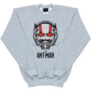 Sweat-shirt enfant Marvel BI5724