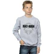 Sweat-shirt enfant Marvel BI5725