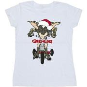 T-shirt Gremlins BI22858