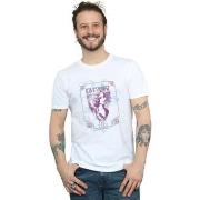 T-shirt Fantastic Beasts BI24782