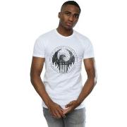 T-shirt Fantastic Beasts Distressed Magical Congress