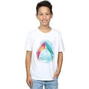 T-shirt enfant Dc Comics Aquaman Mera Logo