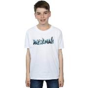 T-shirt enfant Dc Comics Aquaman Text Logo