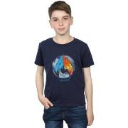 T-shirt enfant Dc Comics BI7032