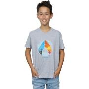 T-shirt enfant Dc Comics BI7032