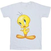 T-shirt enfant Dessins Animés BI25226