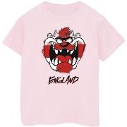 T-shirt enfant Dessins Animés Taz England Face