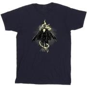 T-shirt enfant Dc Comics BI8326