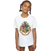 T-shirt enfant Harry Potter BI21389