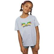 T-shirt enfant Harry Potter Snitch Wings Pastels