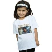 T-shirt enfant Harry Potter Steam Ears