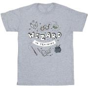 T-shirt enfant Harry Potter BI21993