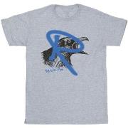 T-shirt enfant Harry Potter Ravenclaw