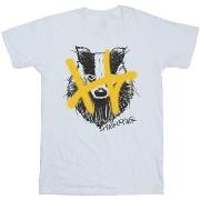 T-shirt enfant Harry Potter Hufflepuff