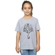 T-shirt enfant Harry Potter BI20820