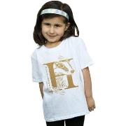 T-shirt enfant Harry Potter Hufflepuff