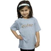 T-shirt enfant Harry Potter BI21306