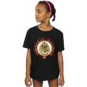 T-shirt enfant Harry Potter BI21611