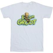 T-shirt Marvel Guardians Of The Galaxy I Am Groot