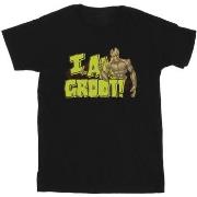 T-shirt Guardians Of The Galaxy I Am Groot