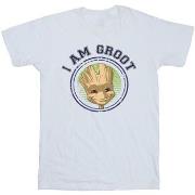 T-shirt Guardians Of The Galaxy BI28302