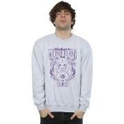 Sweat-shirt Disney Alice In Wonderland Adventures