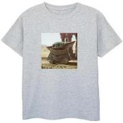 T-shirt enfant Disney The Mandalorian The Child