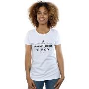 T-shirt Harry Potter BI23297