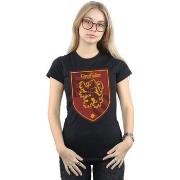 T-shirt Harry Potter BI23316