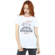 T-shirt Harry Potter BI26135