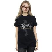 T-shirt Harry Potter BI26293