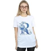 T-shirt Harry Potter BI26993
