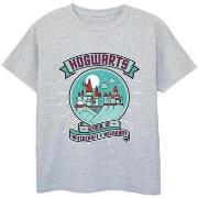 T-shirt enfant Harry Potter Hogwarts