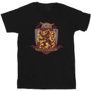 T-shirt enfant Harry Potter Gryffindor